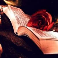author-avatar