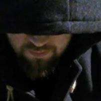 author-avatar