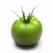 Pomodoro Verde