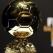 Balón De Oro .