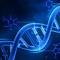 Frank Roma