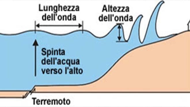 Dove nasce uno tsunami?