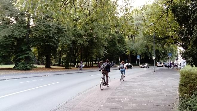 L&rsquo;uso della bicicletta da parte della quasi totalit&agrave; della popolazione