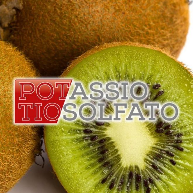 Il potassio