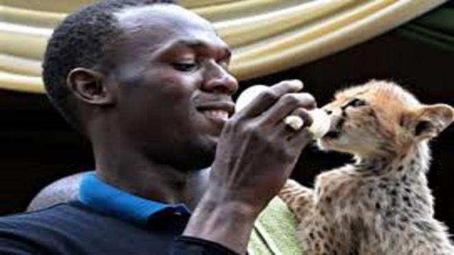 Su mascota es mucho m&aacute;s veloz que el 