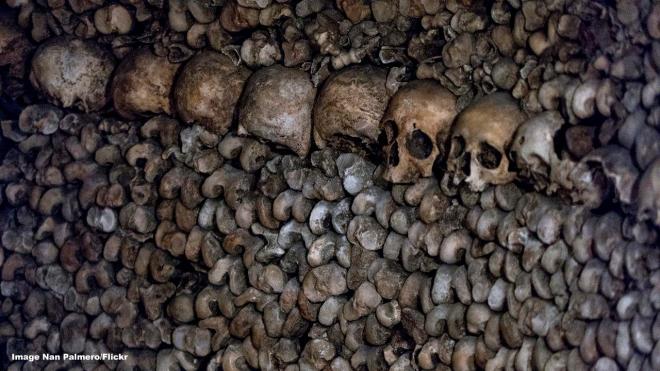 The Paris Catacombs