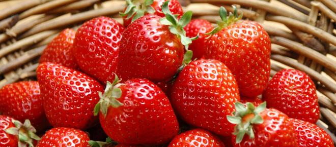 Las deliciosas Fresas