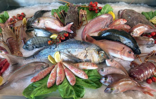 Acidi grassi Omega 3