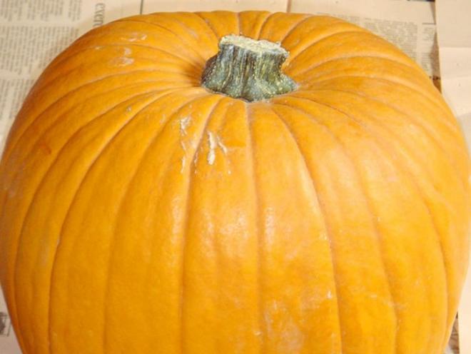 Disporre la zucca su un piano di lavoro