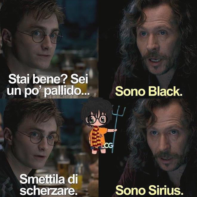 Sirius Black con Harry Potter
