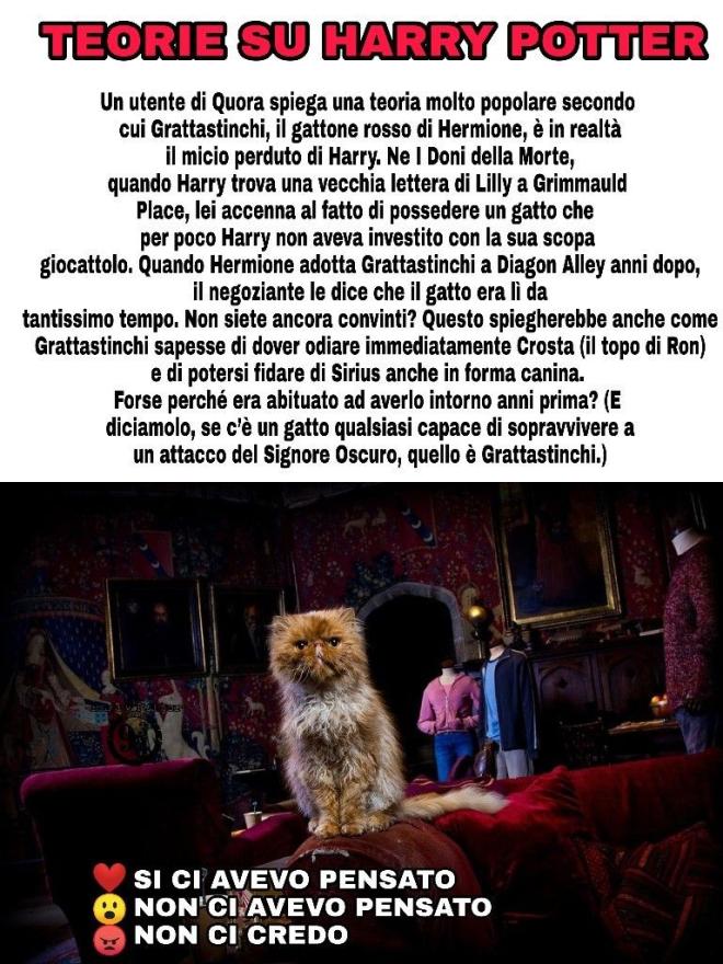 Le teorie sui personaggi dei libri di Harry Potter