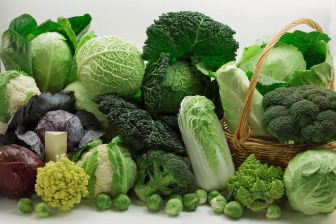 Verdure verdi e scure