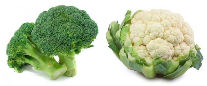 Cavolfiori e broccoli