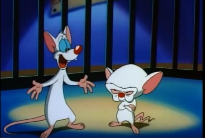 Pinky and The Brain (1995) (Image credit: Swalka1991/ YouTube.com screen grab)