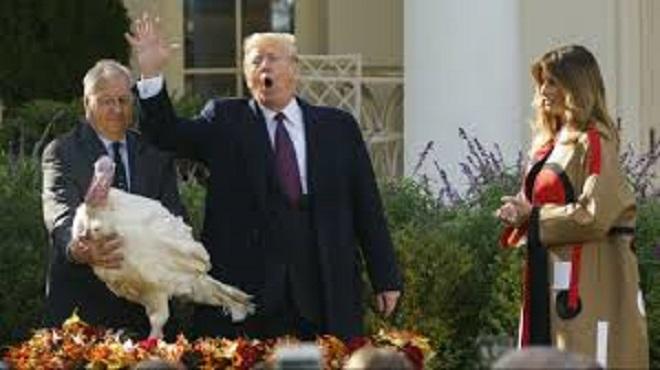 El perd&oacute;n otorgado al pavo