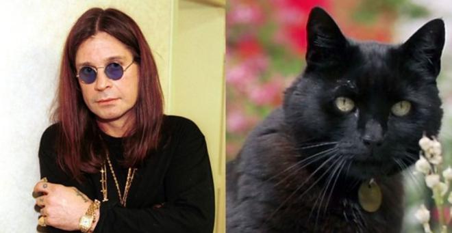 Ozzy e i gatti
