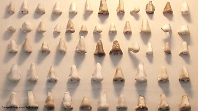 Nasothek Nose Collection - 7 Dantes Plads, Copenhagen, Denmark