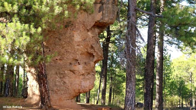 The Enchanted Forest of &Ograve;rrius - Vilanova de la Roca, &Ograve;rrius, Catalunya Spain