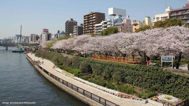 Sumida Park - Tokyo, Japan