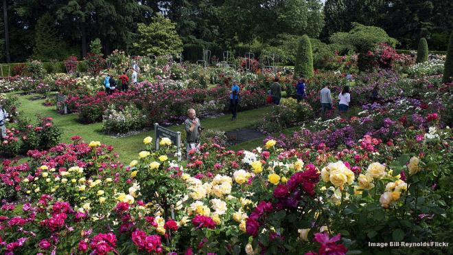 Portland, Oregon, USA &ndash; &lsquo;City of Roses&rsquo;