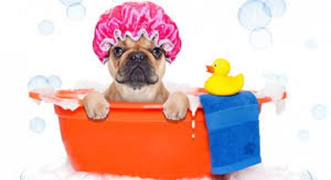 Frecuencia adecuada de los ba&ntilde;os