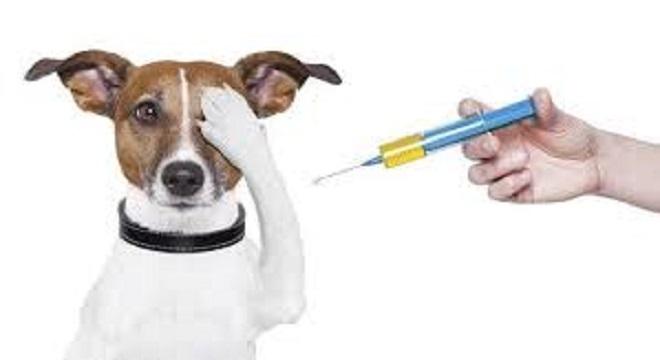 Vacunar contra las enfermedades infecciosas