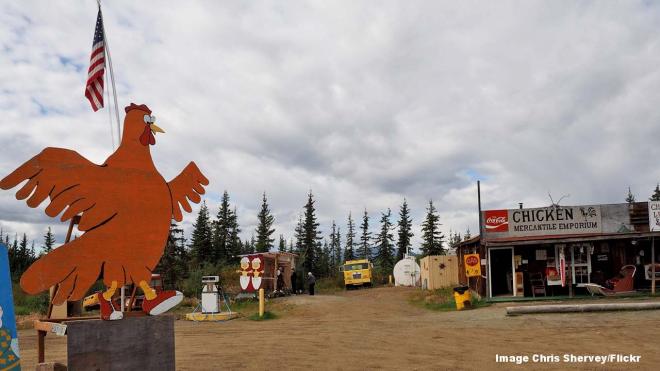 The chicken of Chicken, Alaska, USA