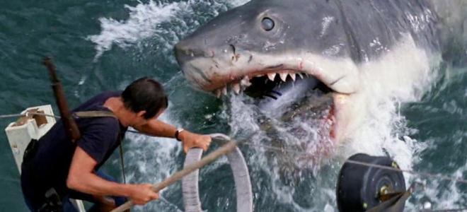 Tubar&atilde;o-Branco - Tubar&atilde;o (1975)