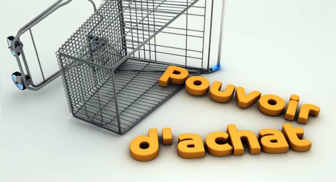 Le pouvoir d'achat (22 %)