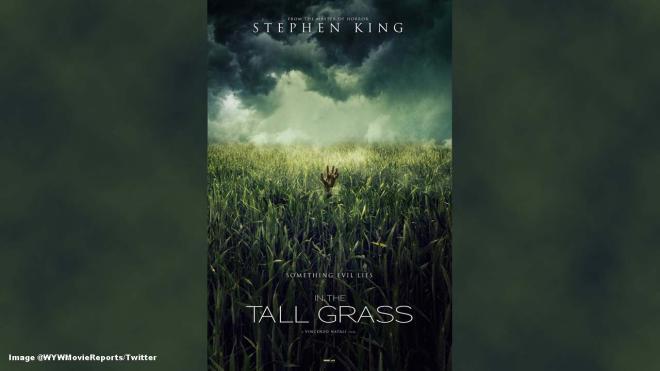 'In the Tall Grass' - Adaptation of Stephen King/Joe Hill novella coming some time this year.