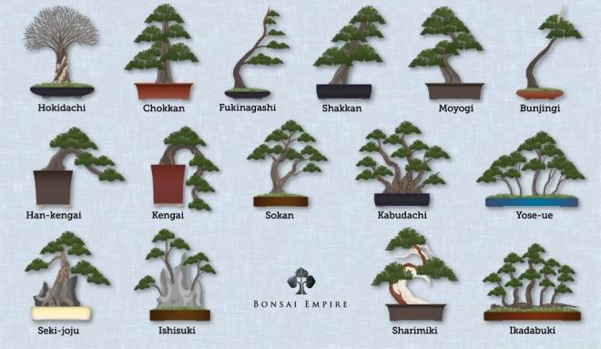 Estilos de Bonsai