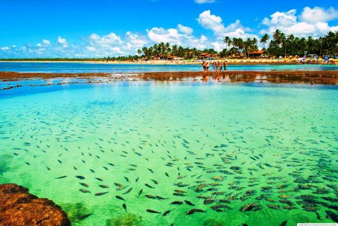 Porto de Galinhas (PE)