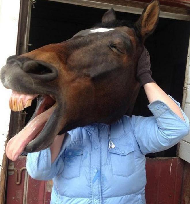 O centauro existe de verdade