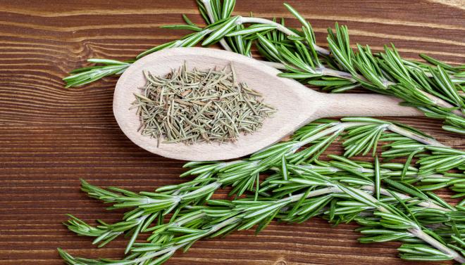 Alecrim (Erva arom&aacute;tica)