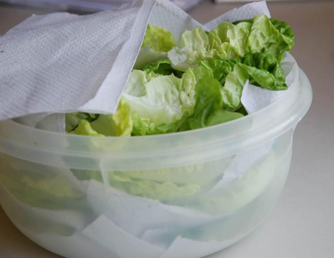 Manter folhas e verduras frescas