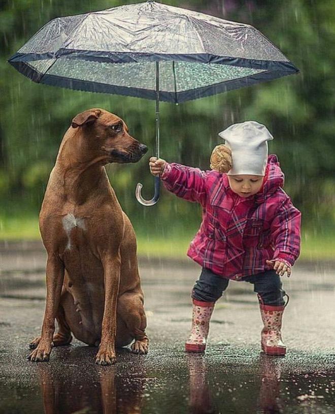 Ajudando seu melhor amigo