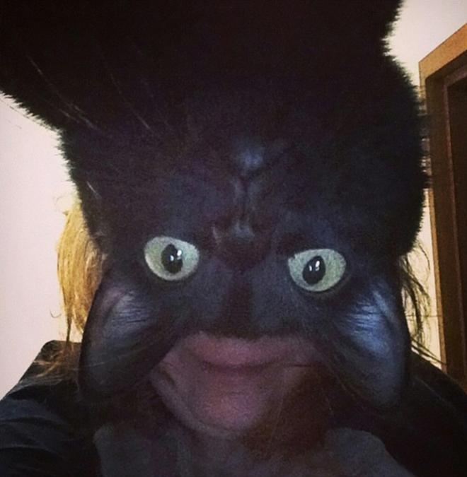 Gatinho fotog&ecirc;nico