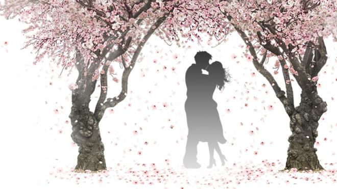 Dichiarazione d'amore per il partner