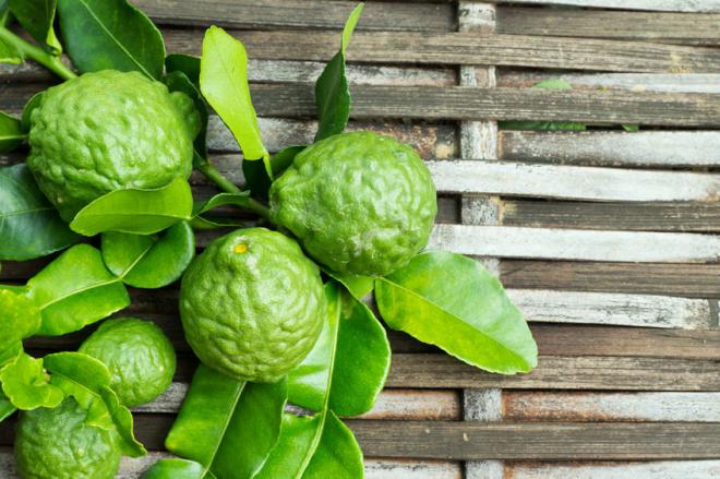 Su nombre proviene de una planta