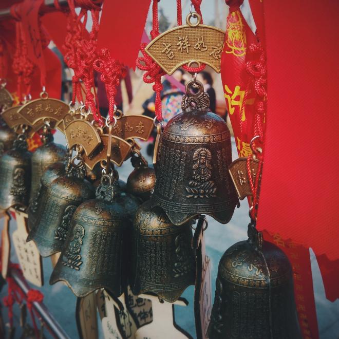 Caratteristiche del segno del maiale 