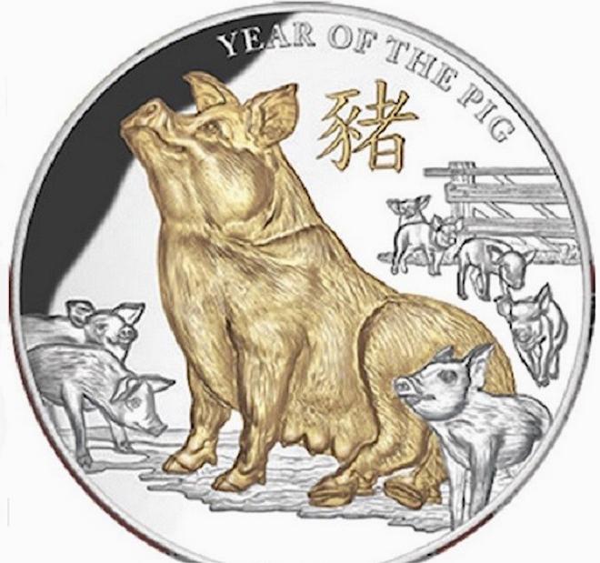 La moneta dell'Anno del maiale