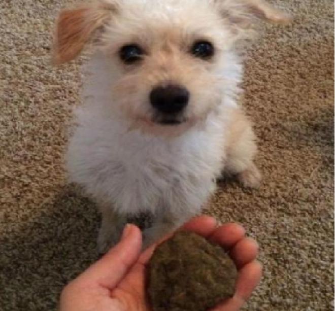 Pedras para construir um castelo