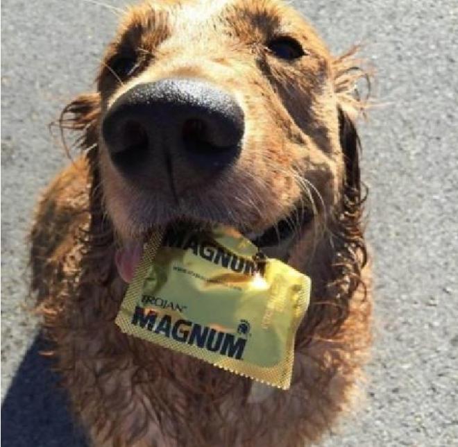 Superprote&ccedil;&atilde;o