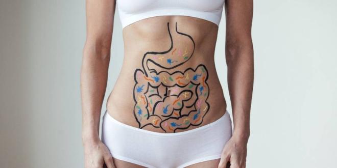 Ajuda o sistema digestivo e o intestinal.