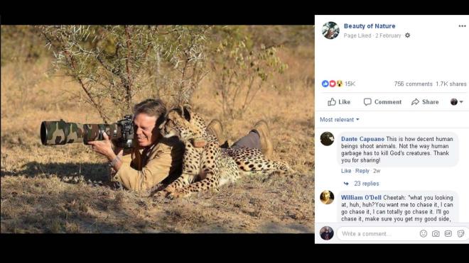 A cheetah gives photography advice