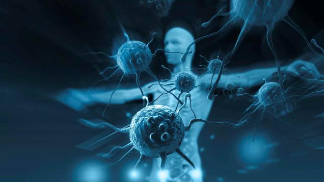 Fortalece o sistema imunol&oacute;gico.