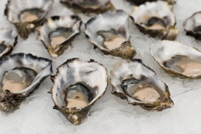 Raw oysters
