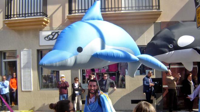 Dolphins and whales parade in the streets