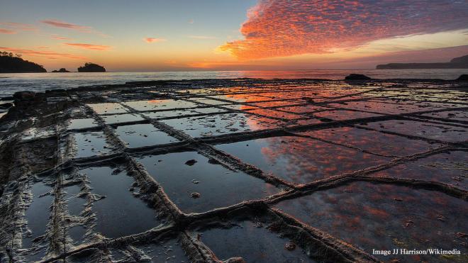 Eaglehawk Neck Tessellated Pavement - Eaglehawk Neck, Australia