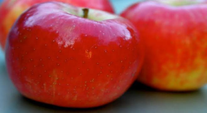 Apple, the cricpy crunchy fruit